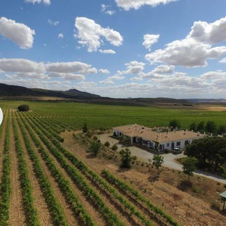 Finca El Romeral Alpera المظهر الخارجي الصورة