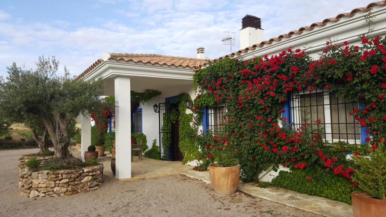 Finca El Romeral Alpera المظهر الخارجي الصورة