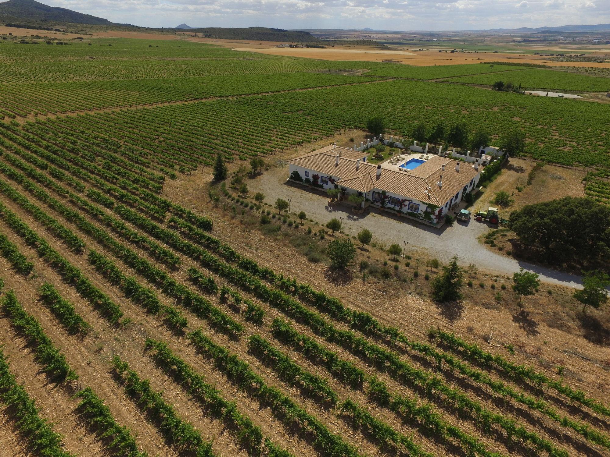 Finca El Romeral Alpera المظهر الخارجي الصورة