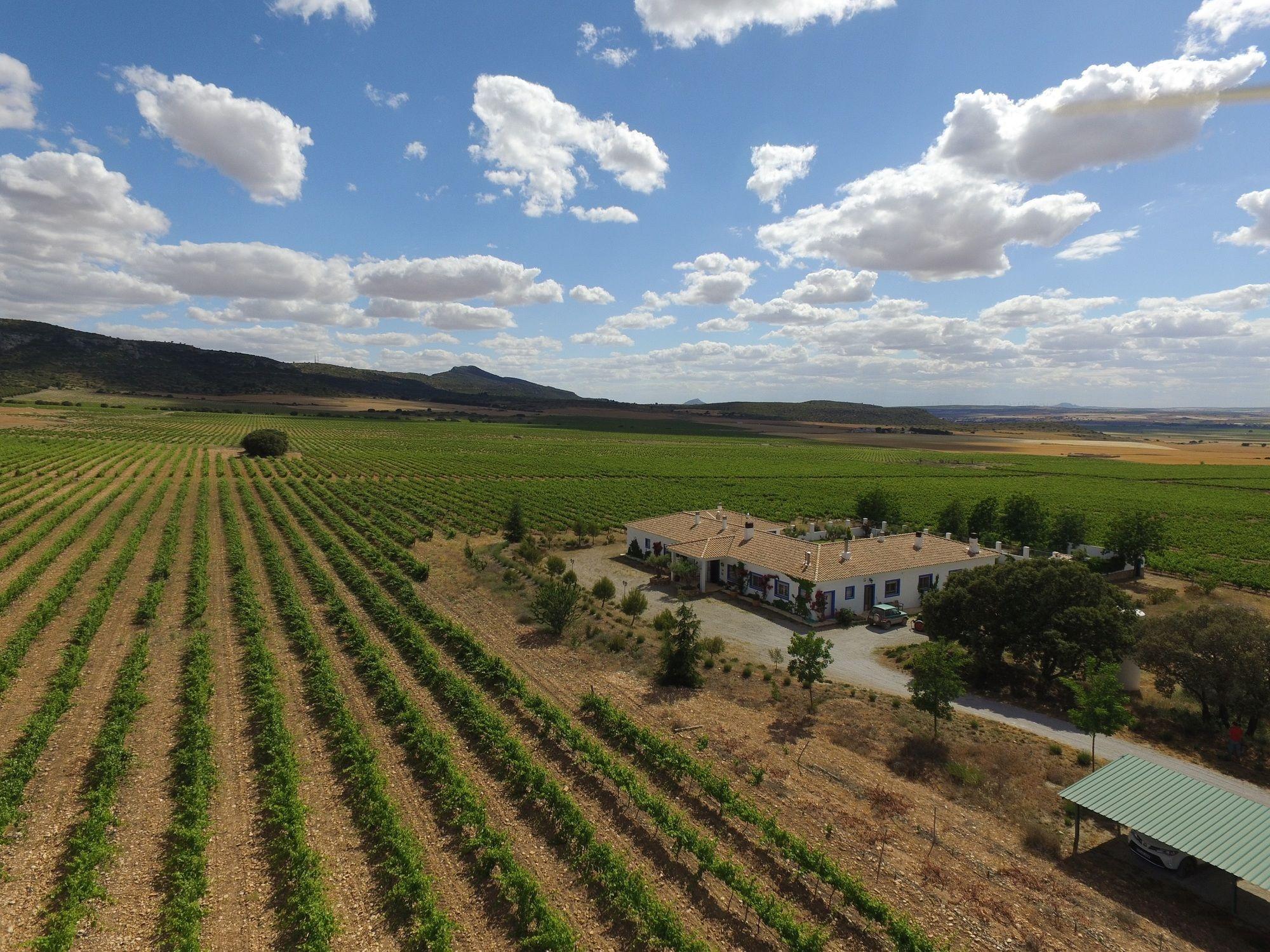 Finca El Romeral Alpera المظهر الخارجي الصورة