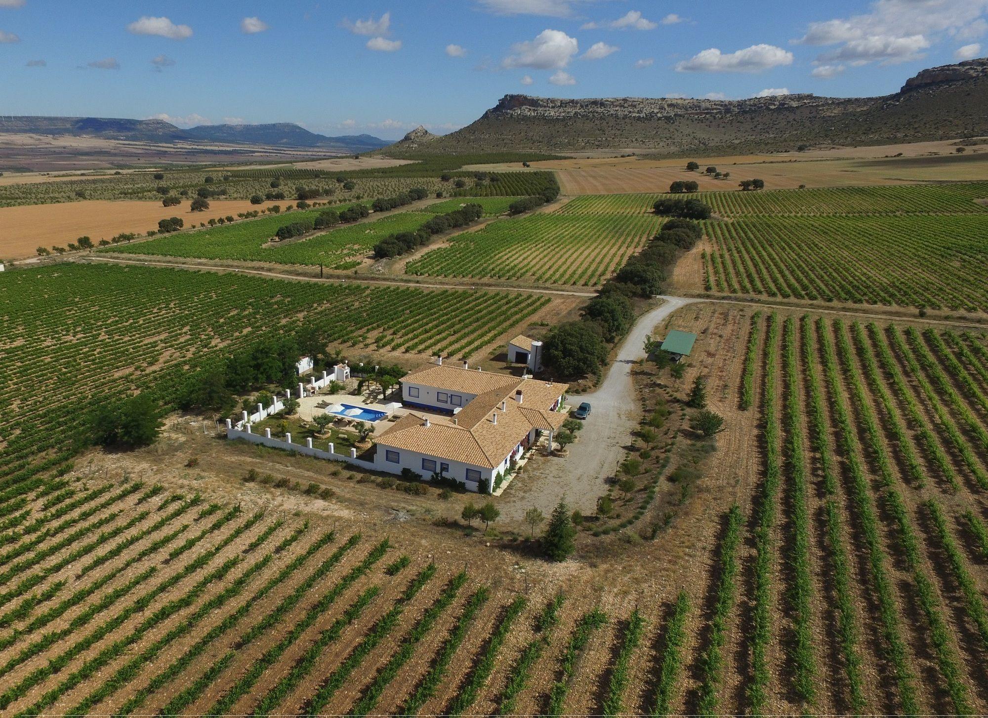 Finca El Romeral Alpera المظهر الخارجي الصورة