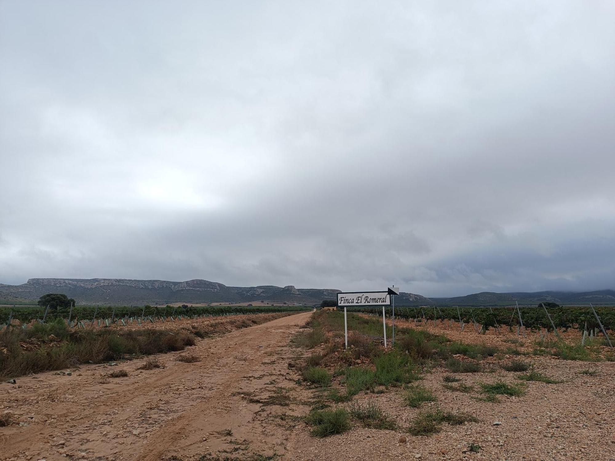 Finca El Romeral Alpera المظهر الخارجي الصورة