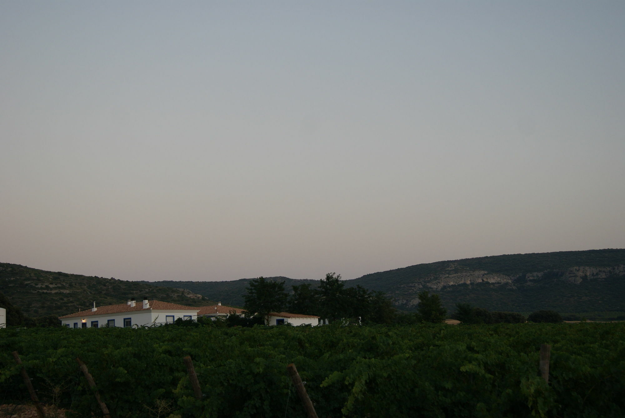 Finca El Romeral Alpera المظهر الخارجي الصورة