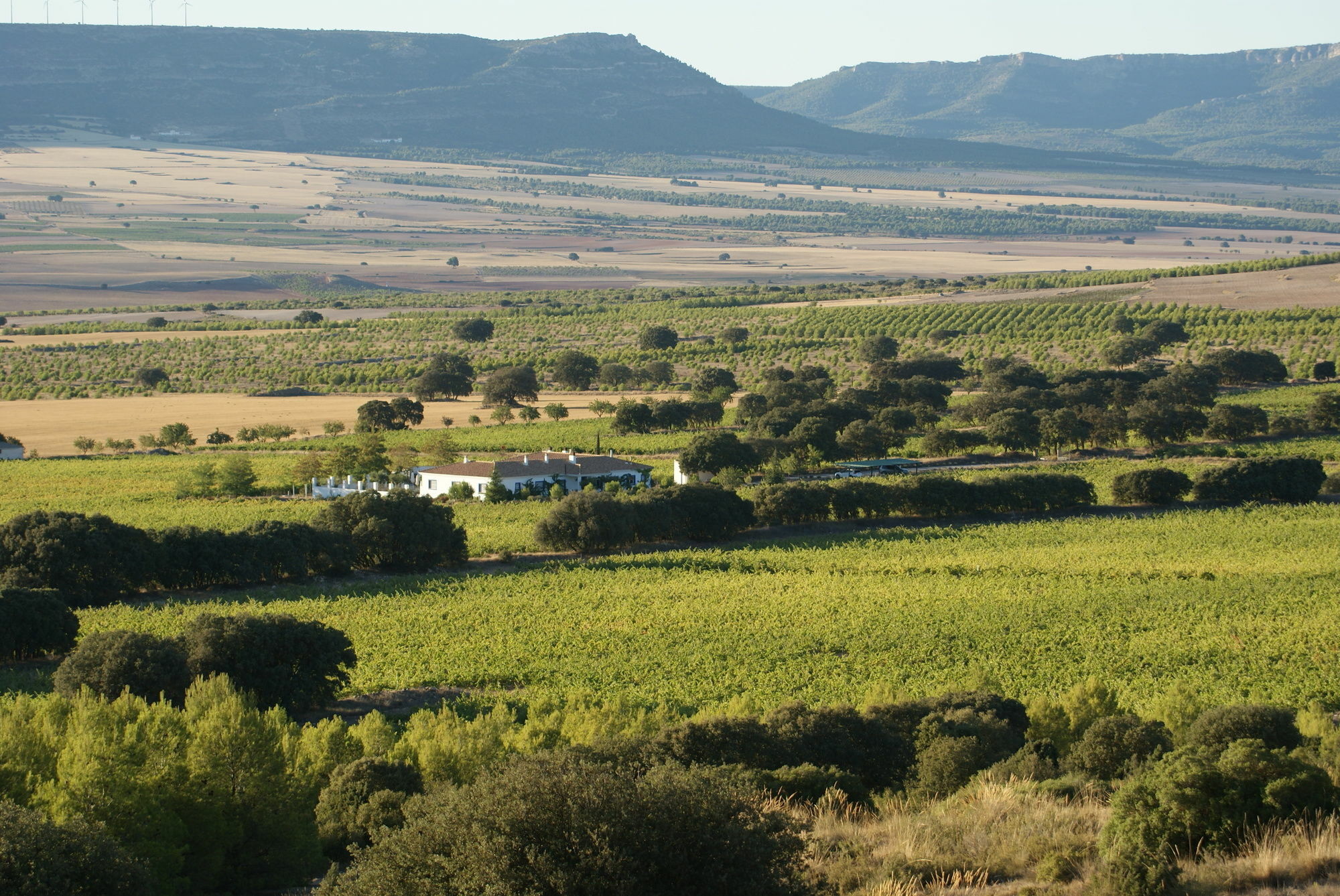 Finca El Romeral Alpera المظهر الخارجي الصورة