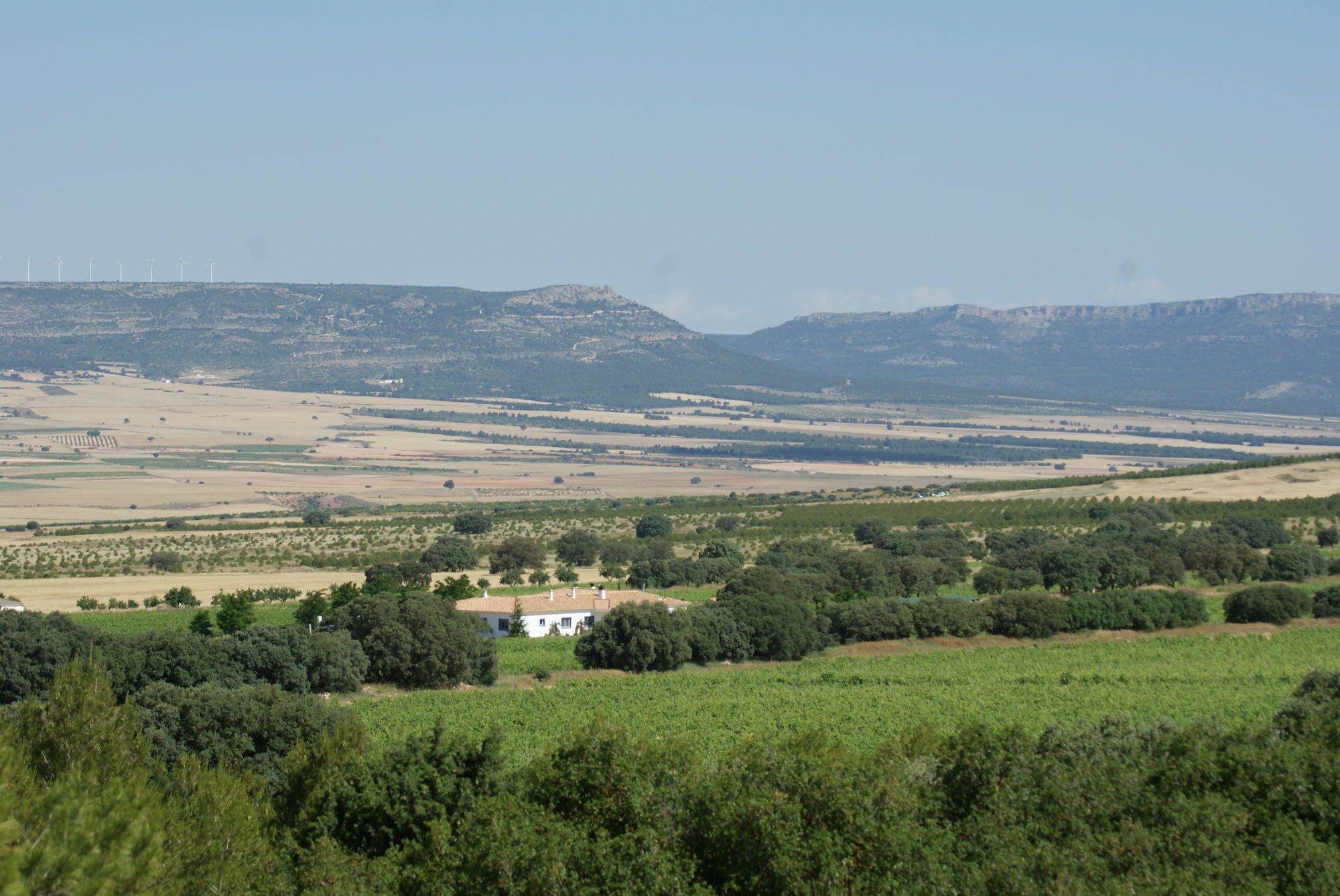 Finca El Romeral Alpera المظهر الخارجي الصورة