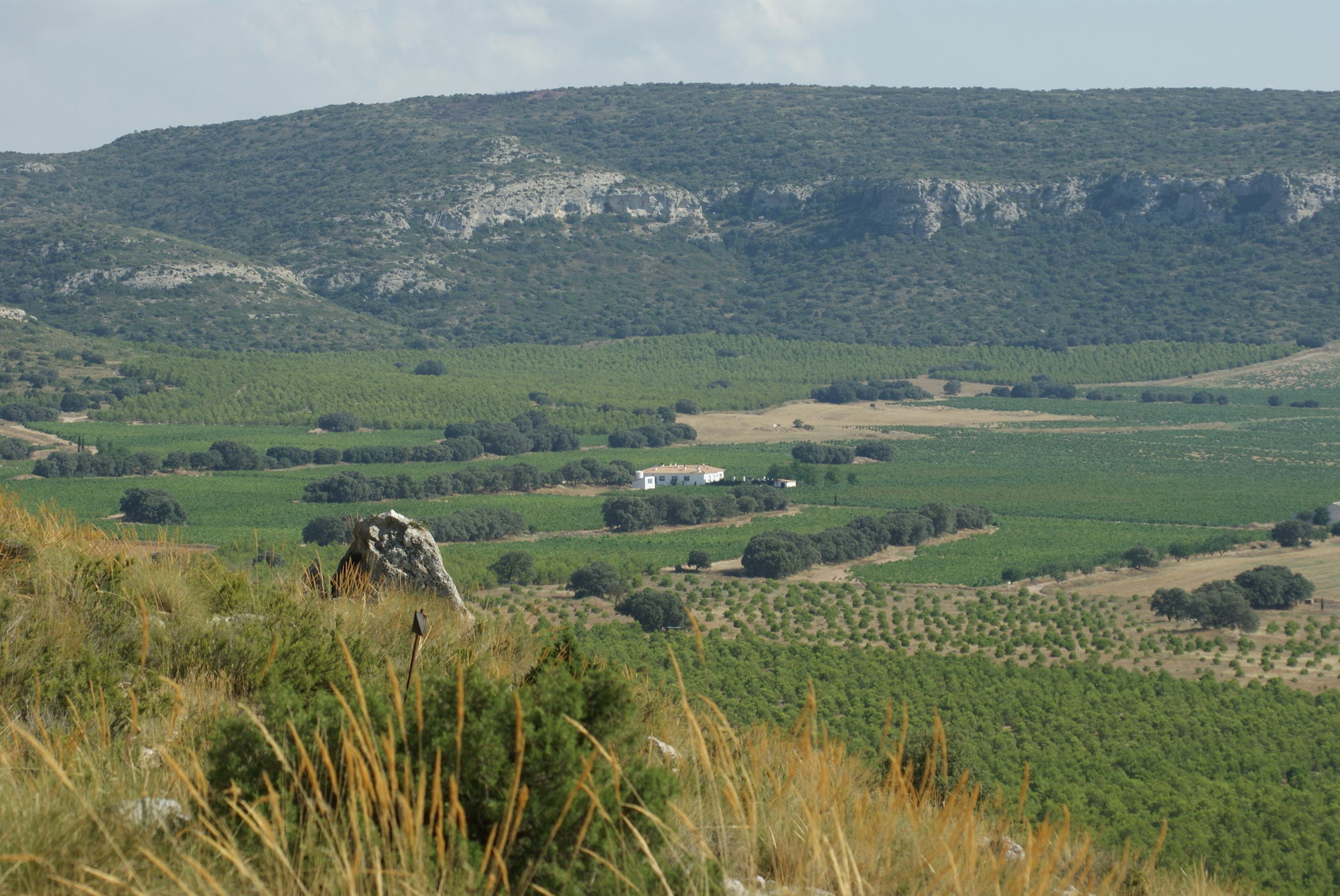 Finca El Romeral Alpera المظهر الخارجي الصورة